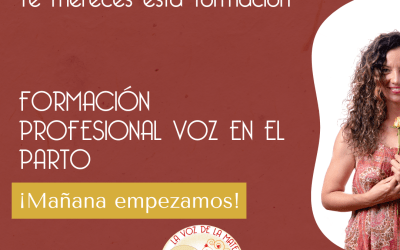 Tú también puedes ser La Voz de la Maternidad